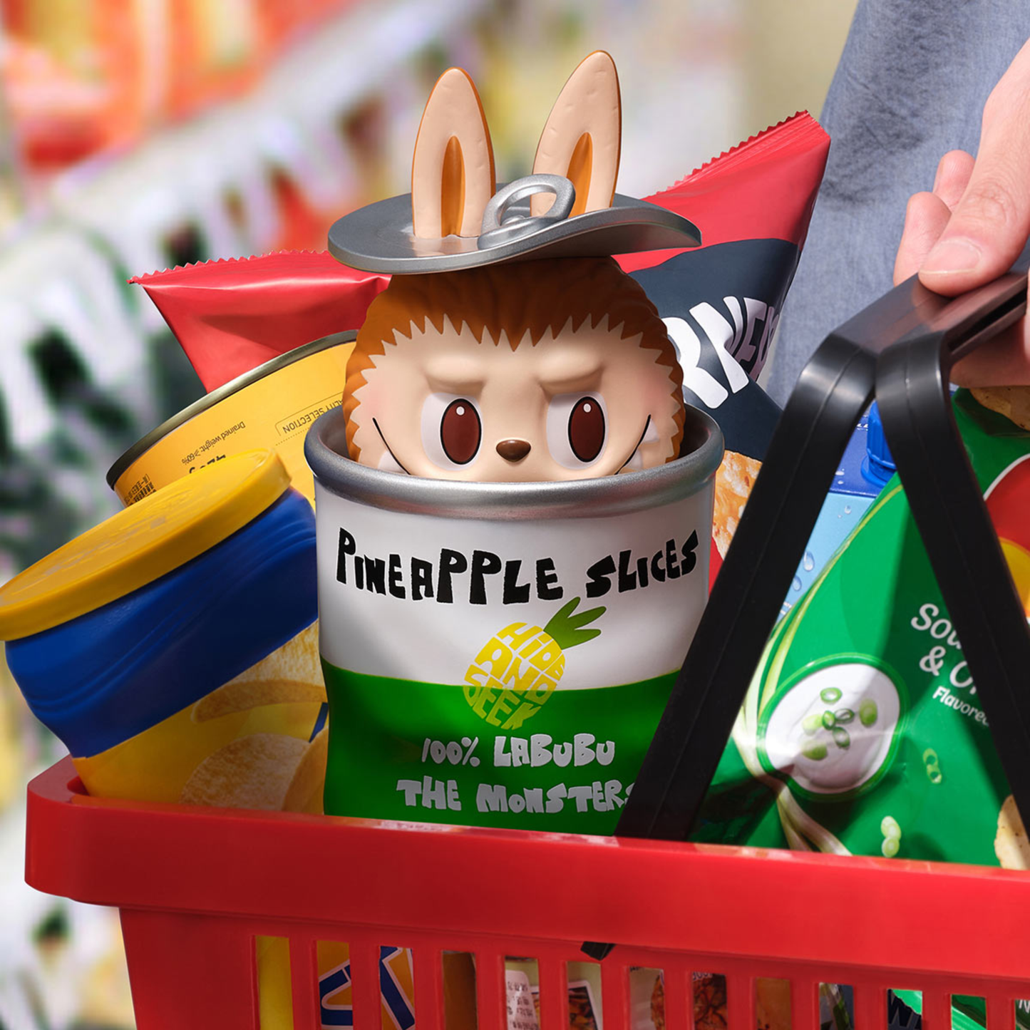 Labubu The Monsters – Almost Hidden | Blind Box 